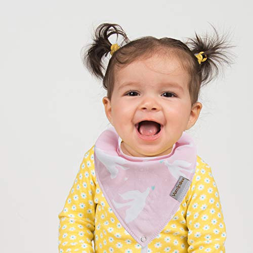 Baby Bandana Drool Bibs and Teething Toys (6 - Pack Girl)